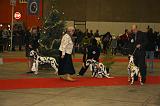 EXPO - DALMATIEN 085